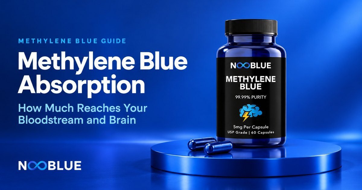 Methylene Blue Absorption: How Much Reaches Your Bloodstream and Brain – NooBlue Methylene Blue Capsules 5mg bottle